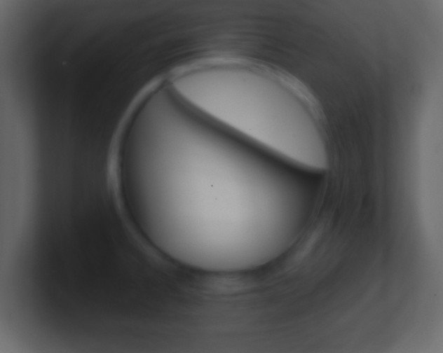 X0000101461334200807071124