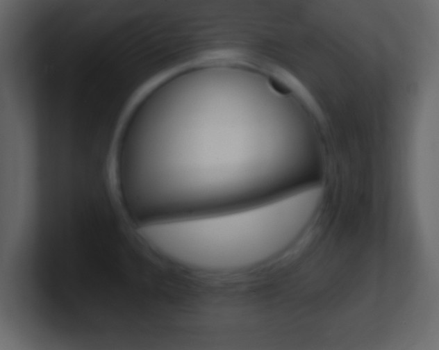 X0000101461336200807071124
