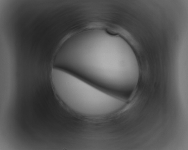 X0000101461337200807071124