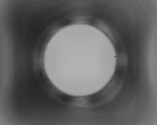 X0000101461338200807071124