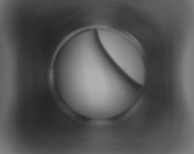 X0000101461340200807071124