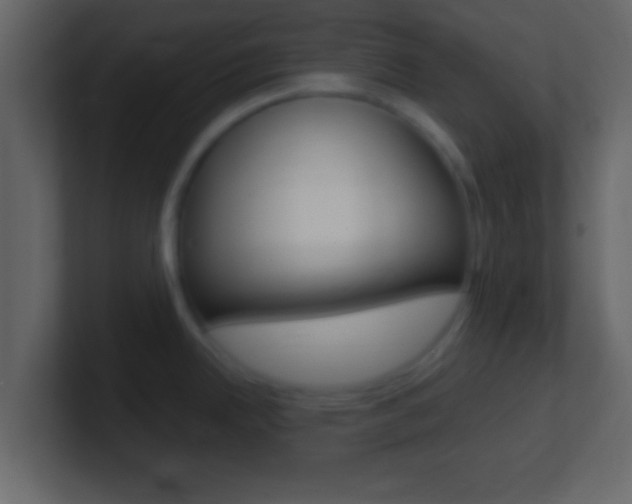 X0000101461342200807071124