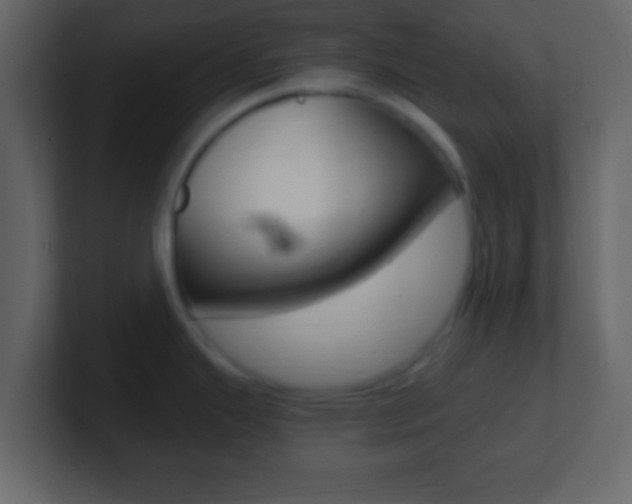 X0000101461343200807071124