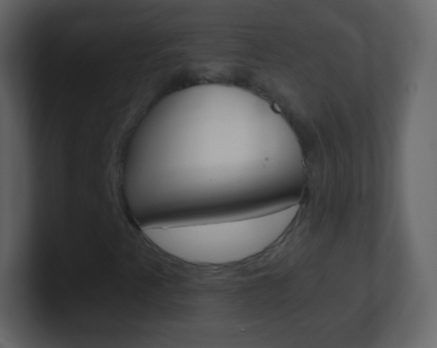 X0000101461345200807071123