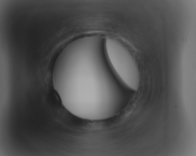 X0000101461351200807071123