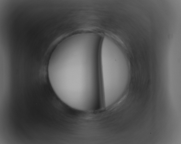 X0000101461355200807071123
