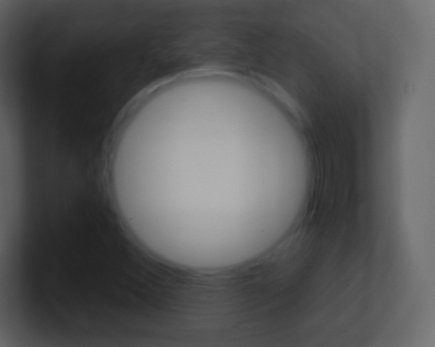 X0000101461356200807071123