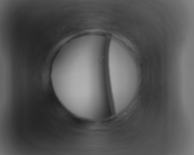 X0000101461359200807071123