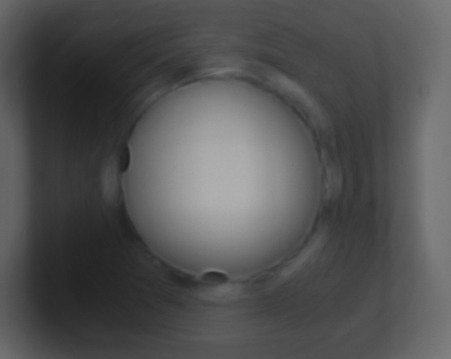 X0000101461361200807071123
