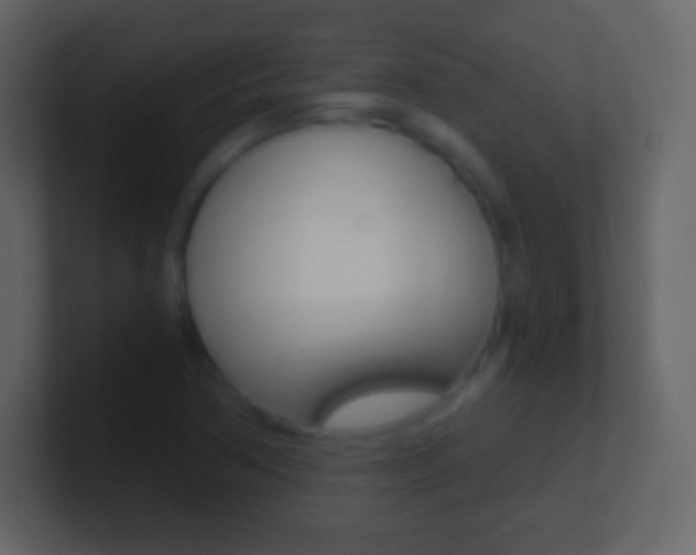 X0000101461362200807071123