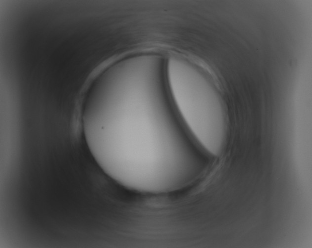 X0000101461363200807071123