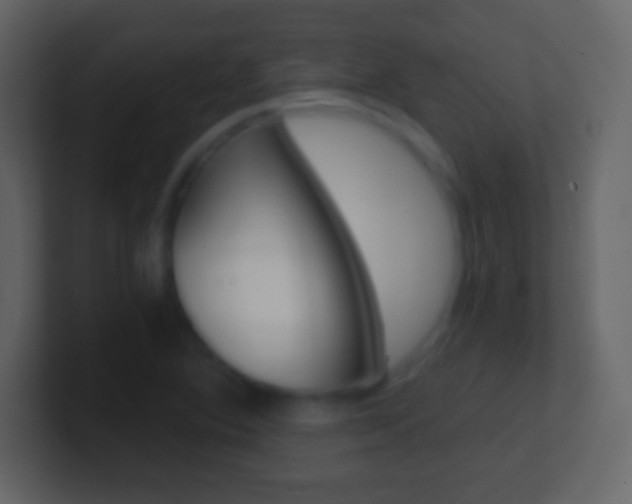 X0000101461364200807071123