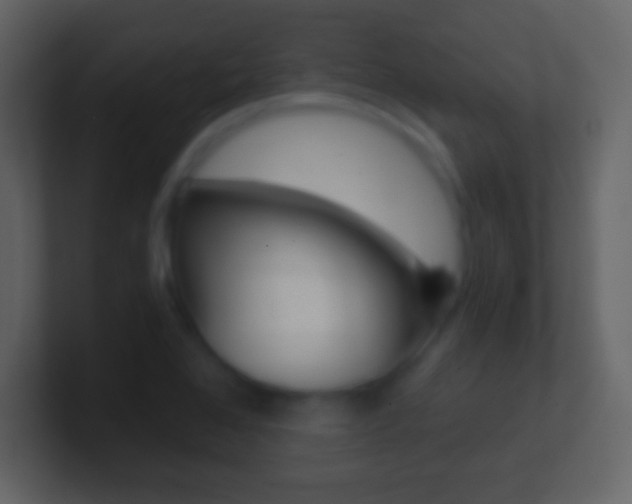 X0000101461368200807071123