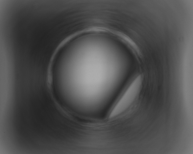 X0000101461372200807071123