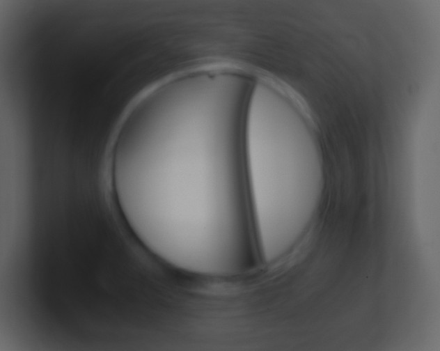 X0000101461375200807071123