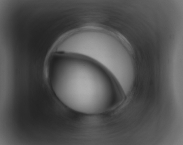 X0000101461376200807071123