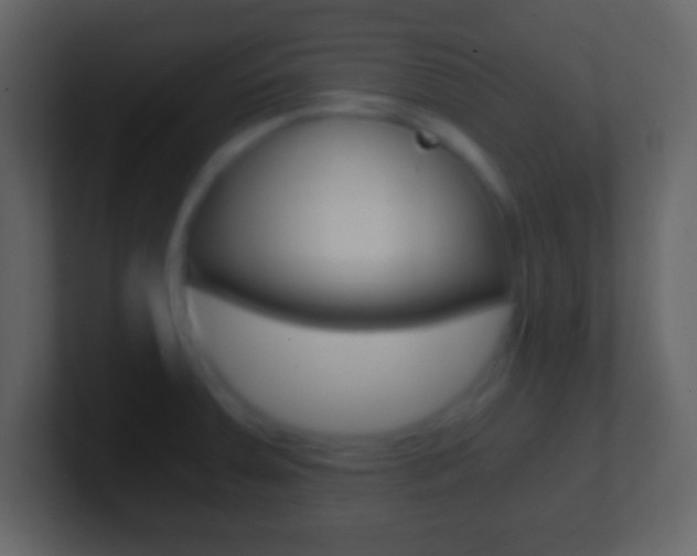 X0000101461379200807071123