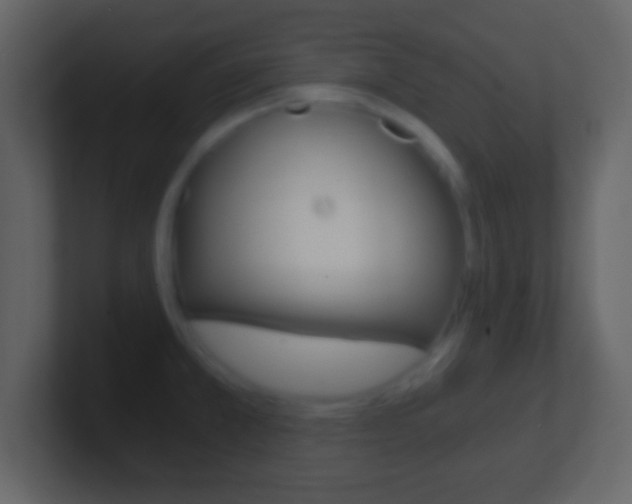 X0000101461381200807071123