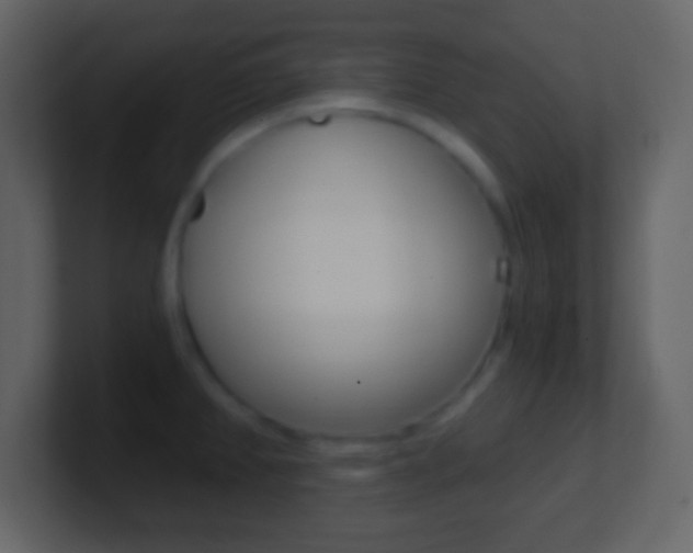 X0000101461382200807071123