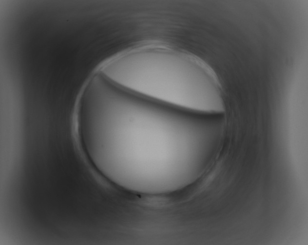 X0000101461383200807071123