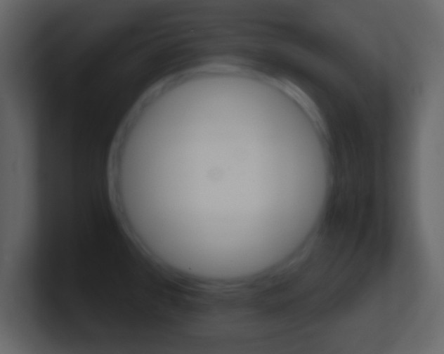 X0000101461384200807071123