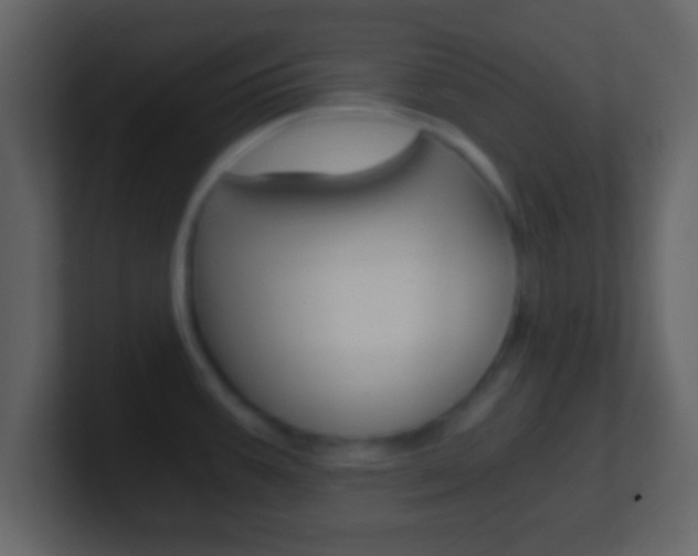 X0000101461387200807071123
