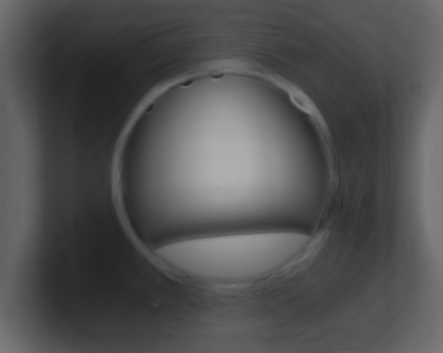 X0000101461389200807071122