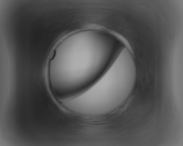 X0000101461391200807071122