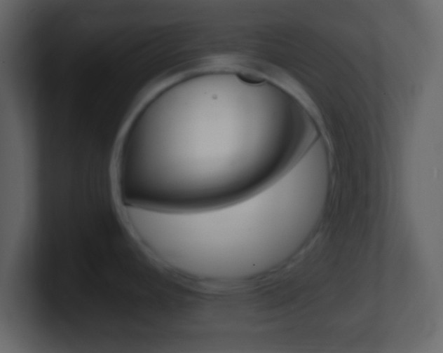 X0000101461392200807071122