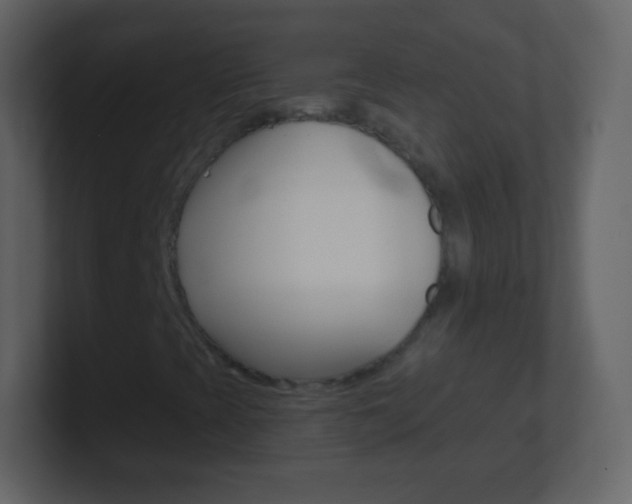 X0000101461393200807071122