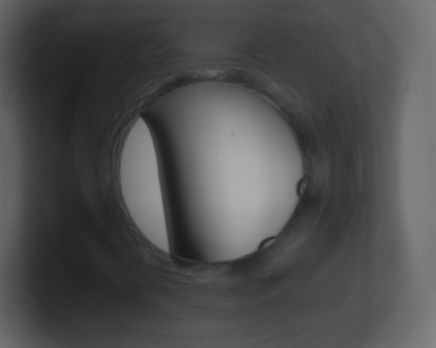 X0000101461394200807071122