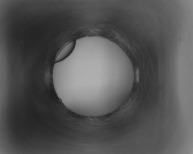 X0000101461395200807071122