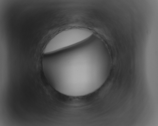 X0000101461398200807071122