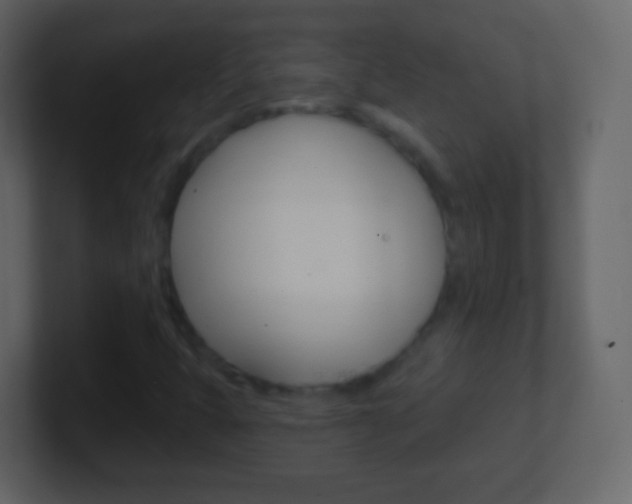 X0000101461399200807071122