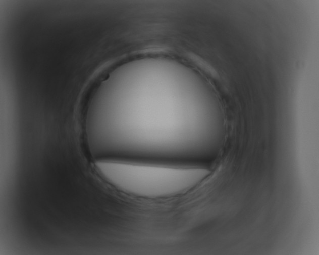 X0000101461400200807071122
