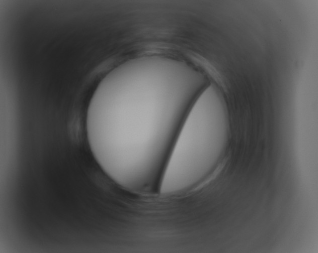 X0000101461403200807071122