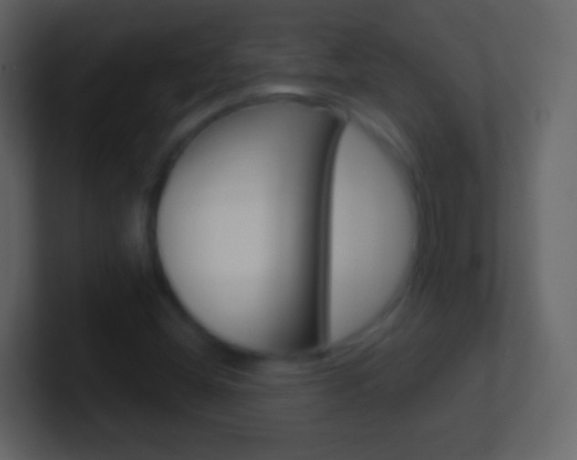 X0000101461404200807071122