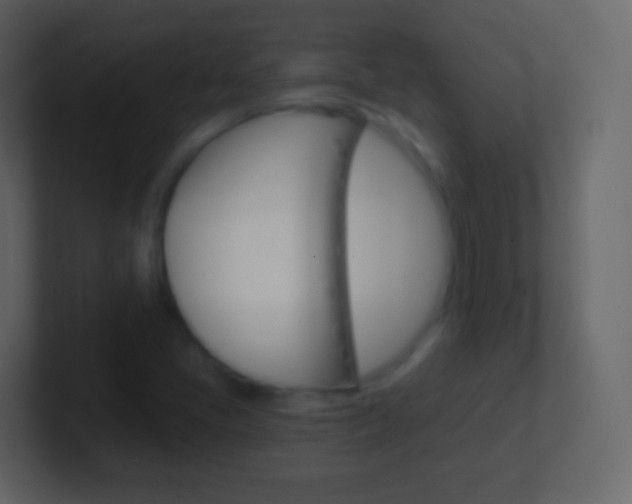 X0000101461405200807071122