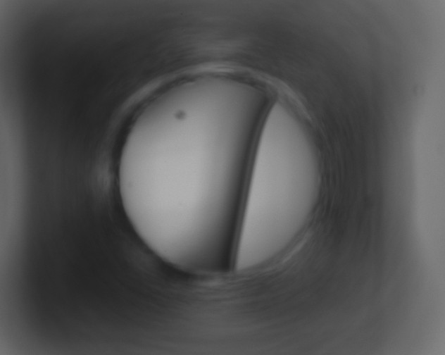 X0000101461406200807071122