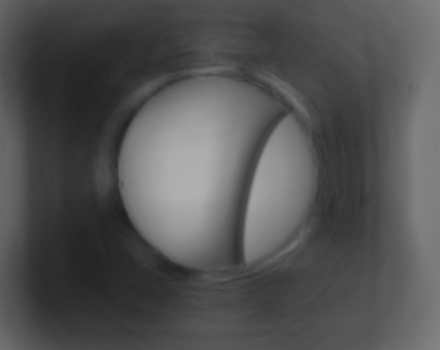 X0000101461407200807071122