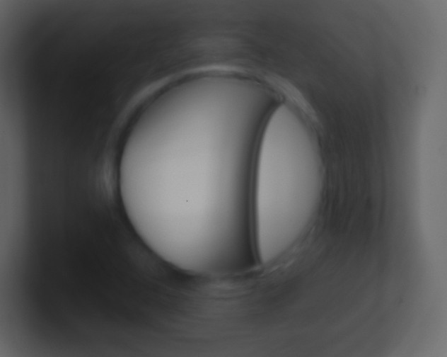 X0000101461408200807071122