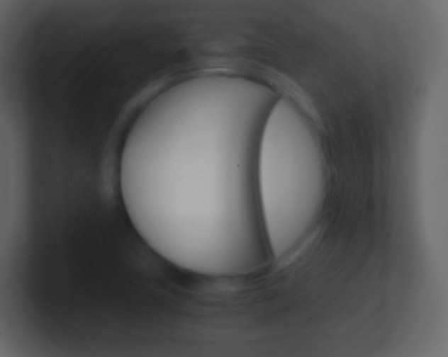 X0000101461411200807071122