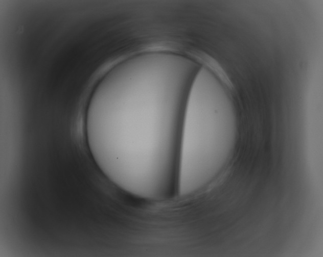 X0000101461419200807071122