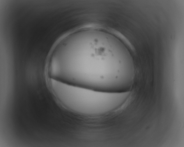 X0000101461421200807071122