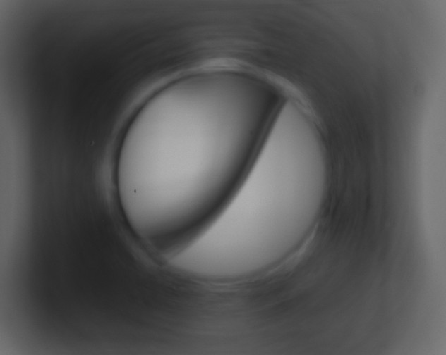X0000101461422200807071122