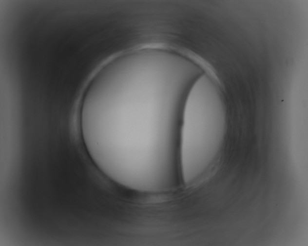 X0000101461423200807071122