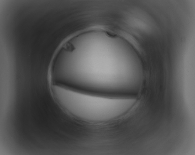 X0000101461428200807071122