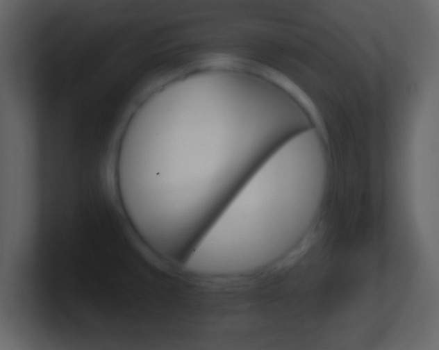 X0000101461429200807071122