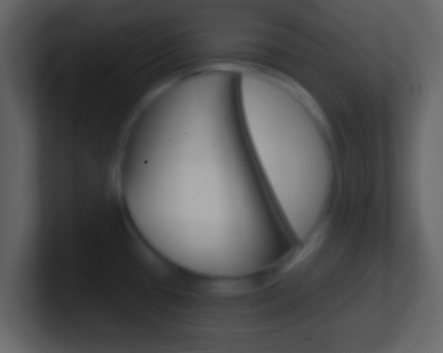 X0000101461433200807071122