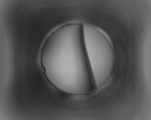 X0000101461437200807071122